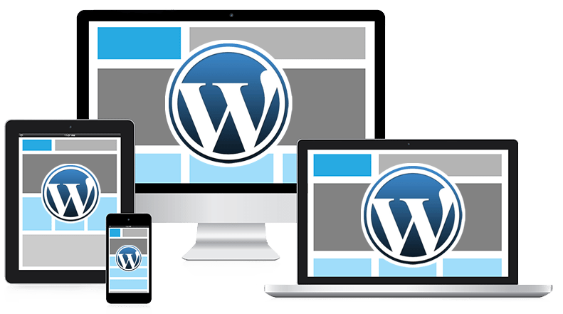 Wordpress turinio valdymo sistema